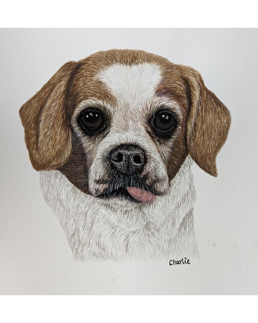 Watercolour portrait of a beagle cross