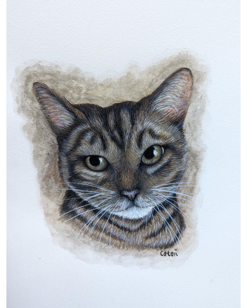Watercolour portrait of a cat