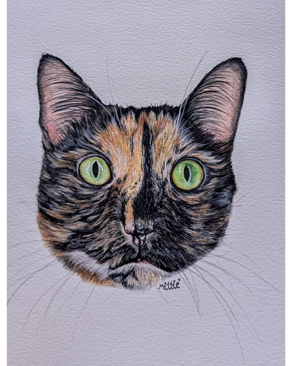 Watercolour portrait of a cat
