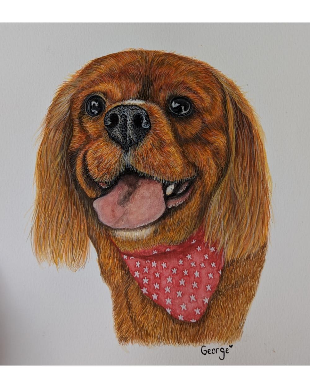 Watercolour portrait of a cavalier King Charles spaniel