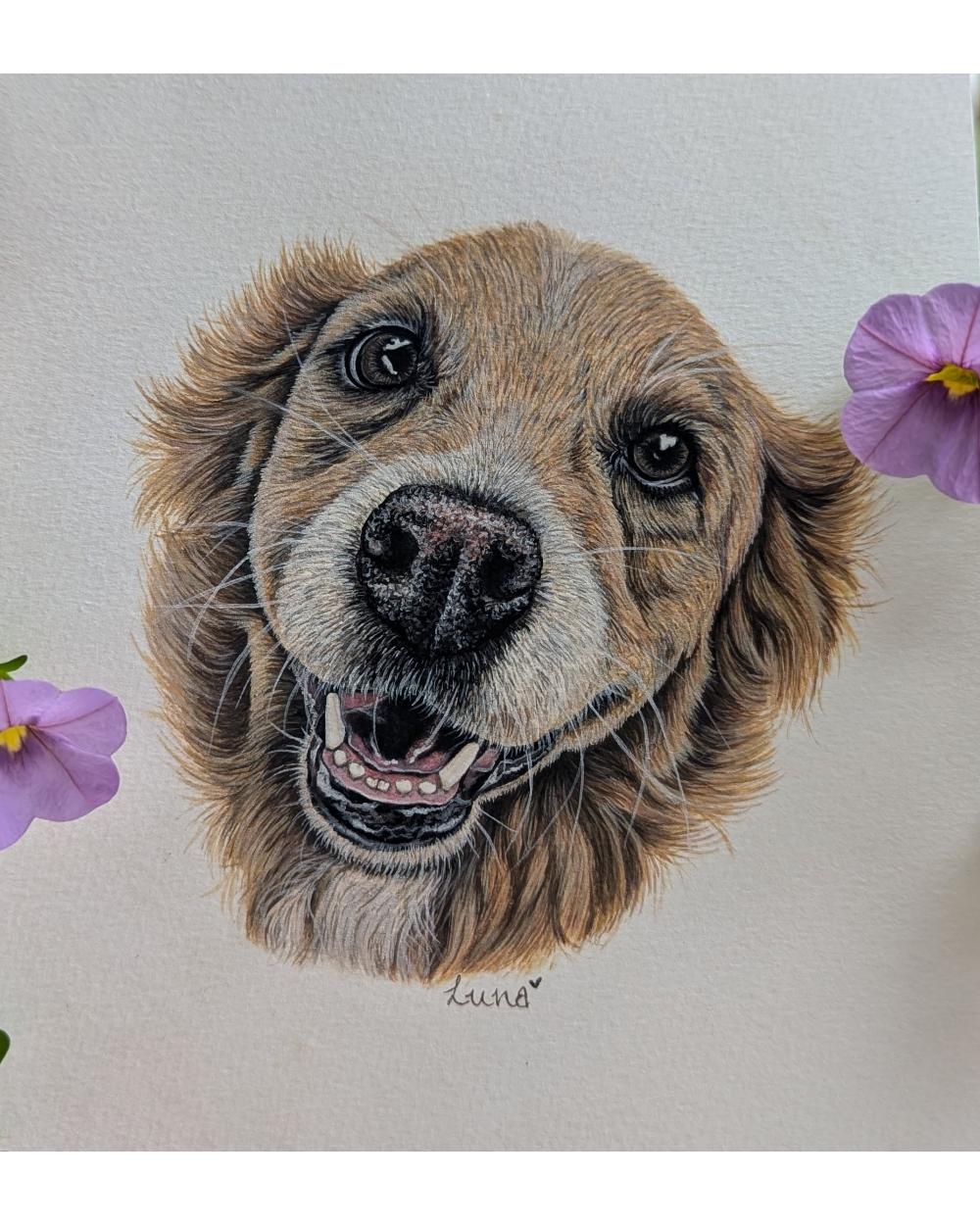 Watercolour portrait of a golden retriever