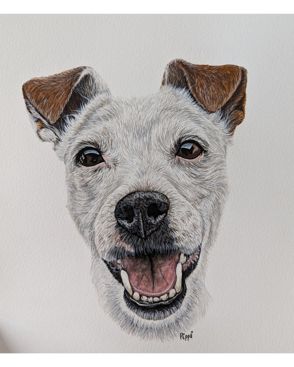 Watercolour portrait of Pippa, a Jack Russell terrier