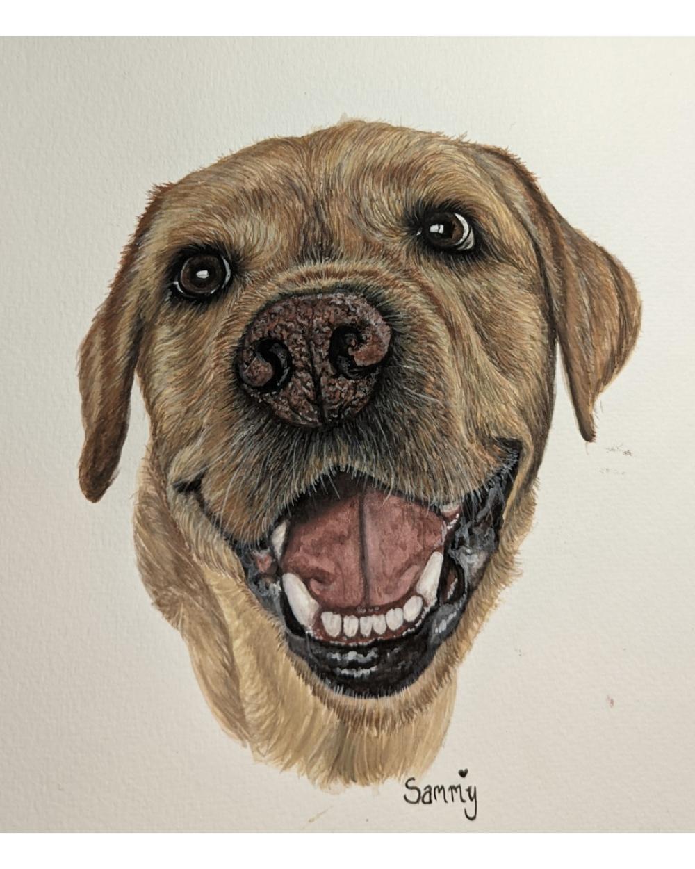 Watercolour portrait of a labrador