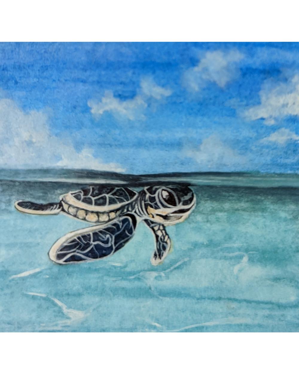 Watercolour painting of a sea turtle